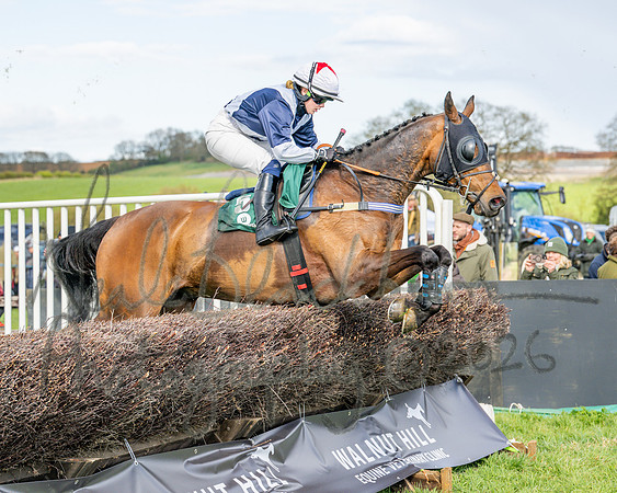 Race 4 - Edgcote Gold Cup (28 of 92)