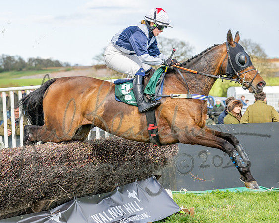 Race 4 - Edgcote Gold Cup (29 of 92)