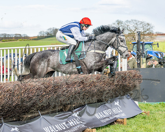 Race 4 - Edgcote Gold Cup (30 of 92)