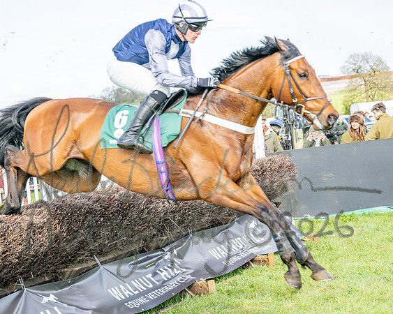 Race 4 - Edgcote Gold Cup (34 of 92)