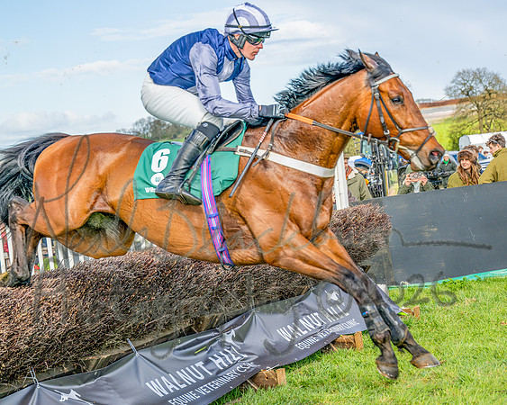 Race 4 - Edgcote Gold Cup (33 of 92)