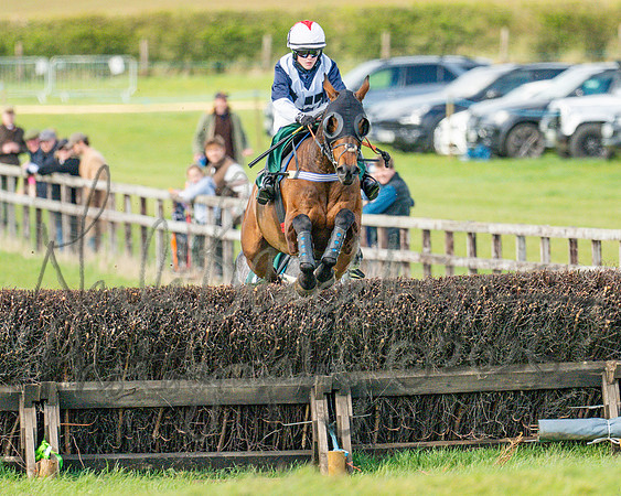 Race 4 - Edgcote Gold Cup (36 of 92)
