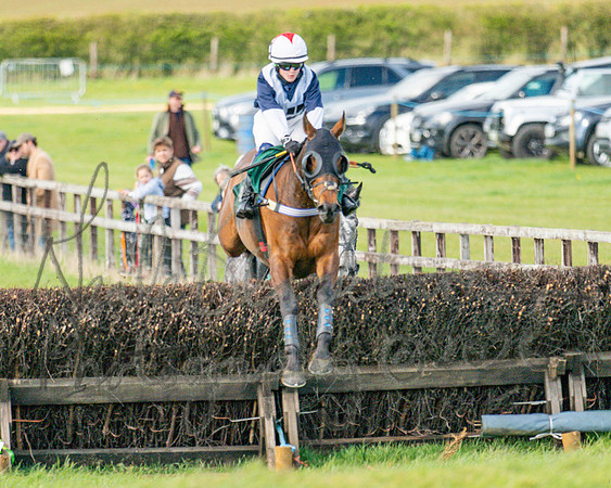 Race 4 - Edgcote Gold Cup (37 of 92)