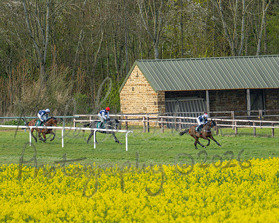 Race 4 - Edgcote Gold Cup (40 of 92)