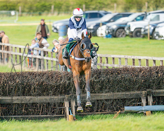 Race 4 - Edgcote Gold Cup (38 of 92)