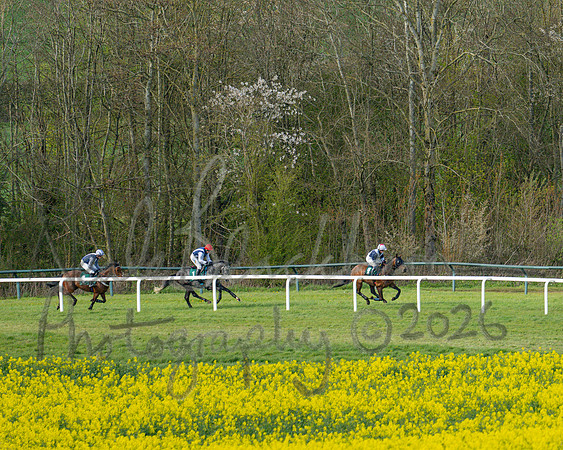 Race 4 - Edgcote Gold Cup (39 of 92)