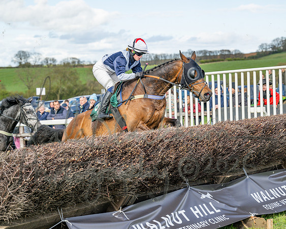 Race 4 - Edgcote Gold Cup (42 of 92)