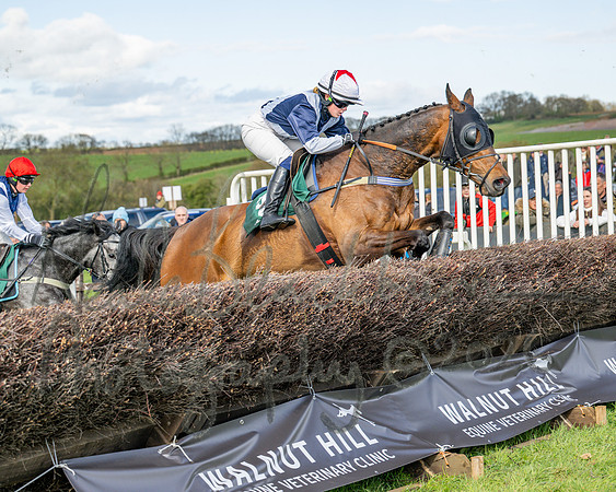 Race 4 - Edgcote Gold Cup (43 of 92)