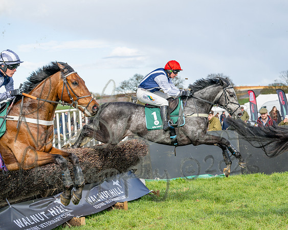 Race 4 - Edgcote Gold Cup (45 of 92)