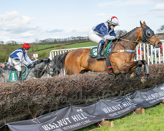 Race 4 - Edgcote Gold Cup (44 of 92)