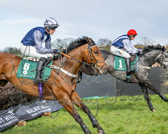 Race 4 - Edgcote Gold Cup (46 of 92)
