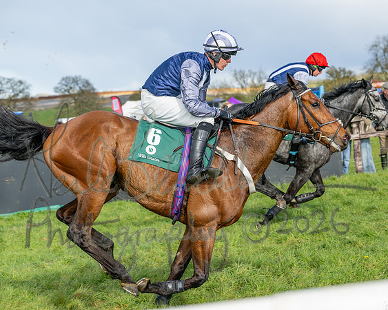 Race 4 - Edgcote Gold Cup (47 of 92)