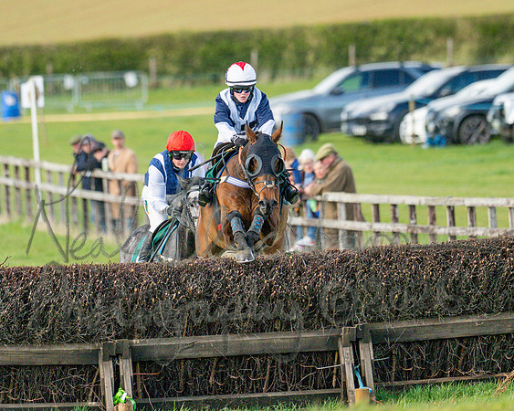 Race 4 - Edgcote Gold Cup (49 of 92)