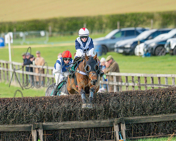 Race 4 - Edgcote Gold Cup (50 of 92)