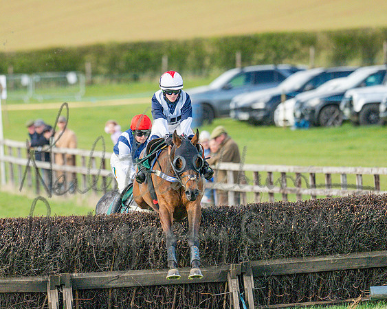 Race 4 - Edgcote Gold Cup (51 of 92)