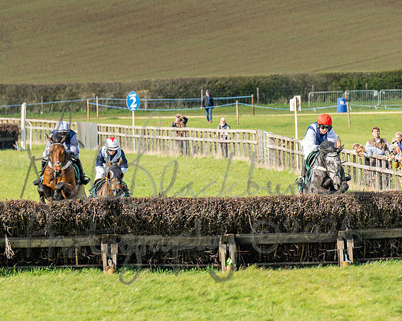Race 4 - Edgcote Gold Cup (54 of 92)
