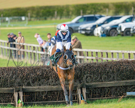 Race 4 - Edgcote Gold Cup (52 of 92)