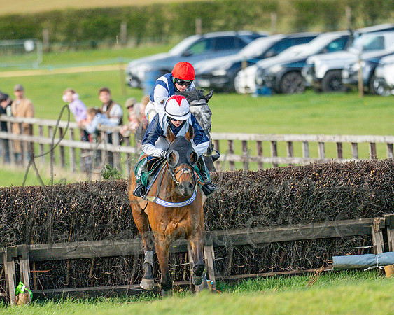 Race 4 - Edgcote Gold Cup (53 of 92)
