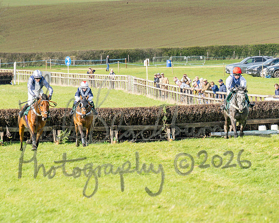 Race 4 - Edgcote Gold Cup (59 of 92)