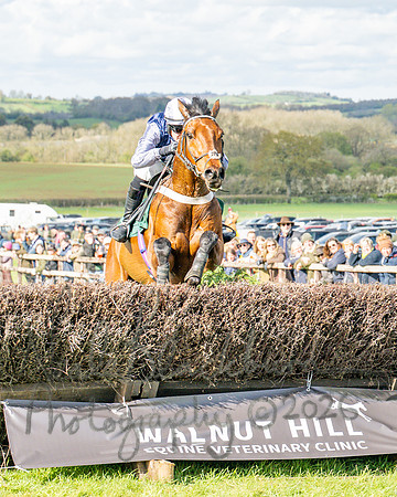 Race 4 - Edgcote Gold Cup (61 of 92)