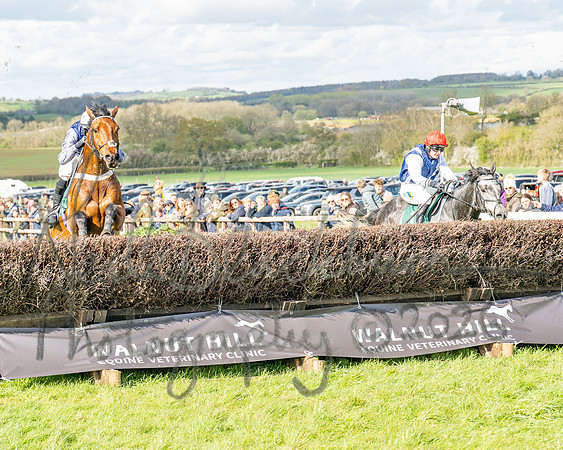 Race 4 - Edgcote Gold Cup (60 of 92)