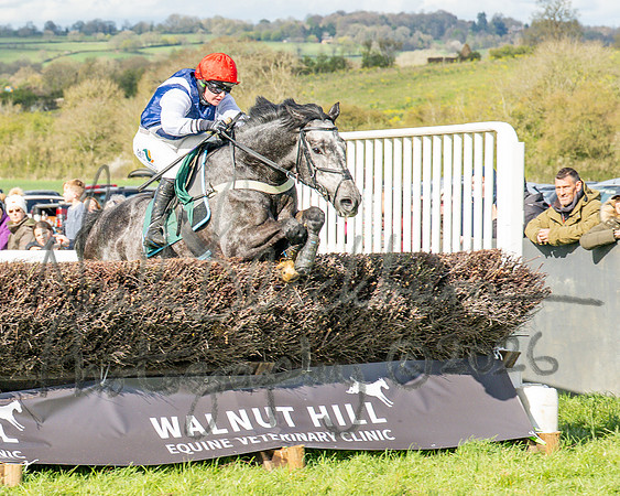 Race 4 - Edgcote Gold Cup (62 of 92)