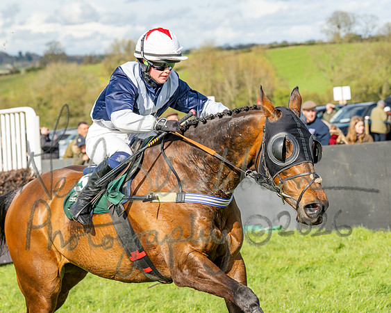 Race 4 - Edgcote Gold Cup (66 of 92)