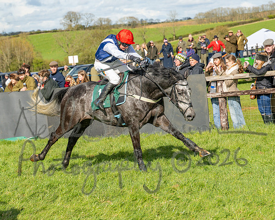 Race 4 - Edgcote Gold Cup (65 of 92)