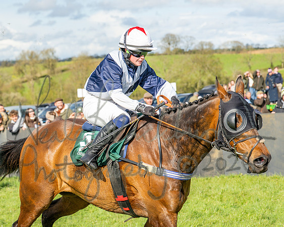 Race 4 - Edgcote Gold Cup (67 of 92)