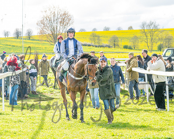 Race 4 - Edgcote Gold Cup (71 of 92)