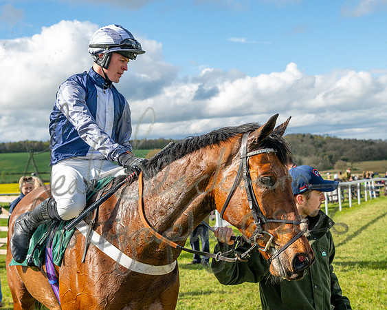 Race 4 - Edgcote Gold Cup (77 of 92)