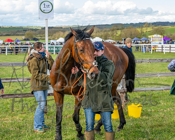 Race 4 - Edgcote Gold Cup (79 of 92)