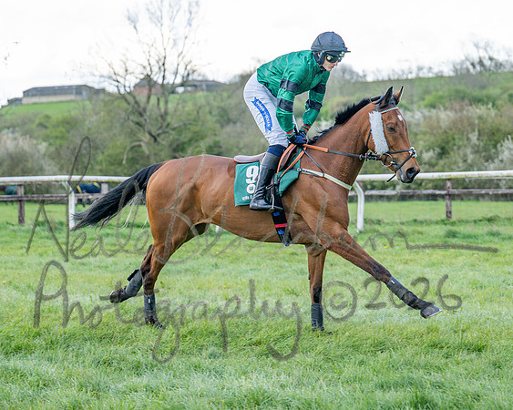 Race 6 - Restricted (6 of 108)