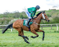 Race 6 - Restricted (7 of 108)