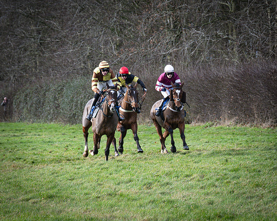 Race 1 - All Is True - Jack Andrews (24 of 38)