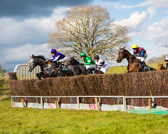 Race 5 - Restricted  (18 of 118)