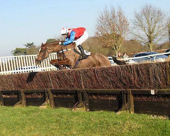 Race 2 - PPORA Novice Riders  (191 of 205)