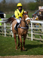 Pony Race 2 -  5