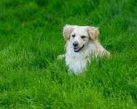 Mr Po (2 of 3)