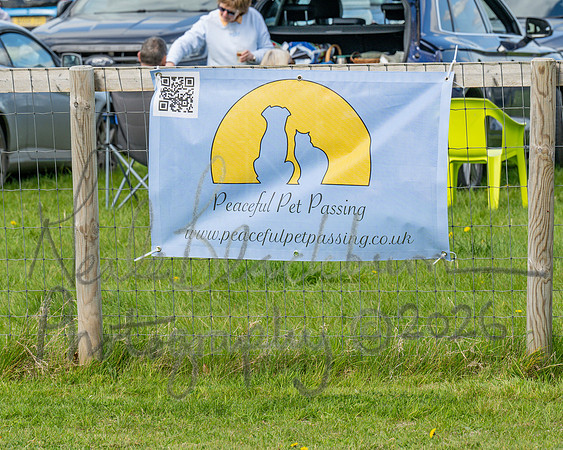 Race 1 - Hunt Members (17 of 116)
