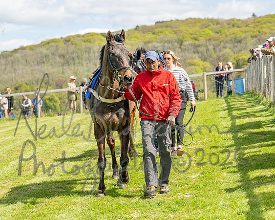 Race 1 - Hunt Members (25 of 116)