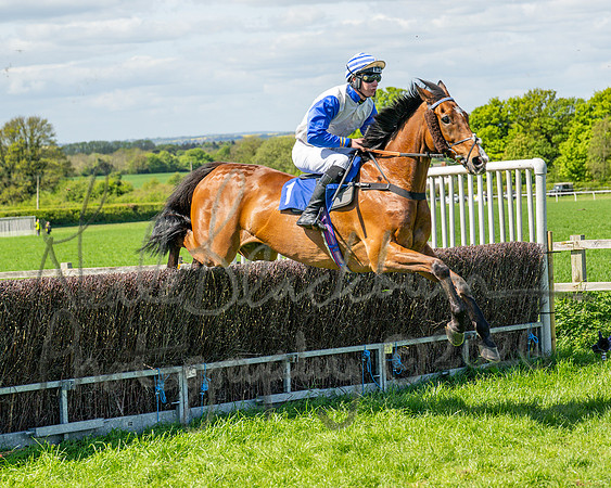 Race 1 - Hunt Members (62 of 116)