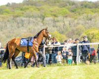 Race 2 - Maiden (7 of 122)