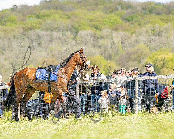 Race 2 - Maiden (7 of 122)