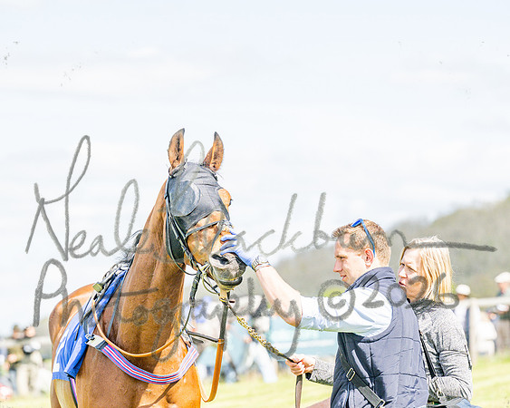 Race 2 - Maiden (10 of 122)