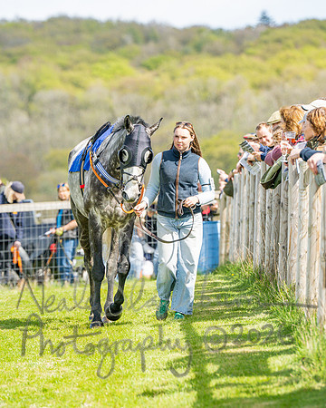 Race 2 - Maiden (11 of 122)