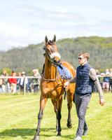 Race 2 - Maiden (14 of 122)