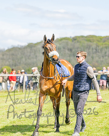 Race 2 - Maiden (14 of 122)