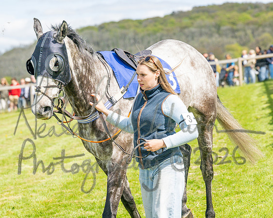 Race 2 - Maiden (13 of 122)