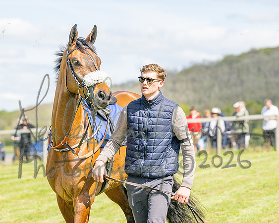 Race 2 - Maiden (16 of 122)